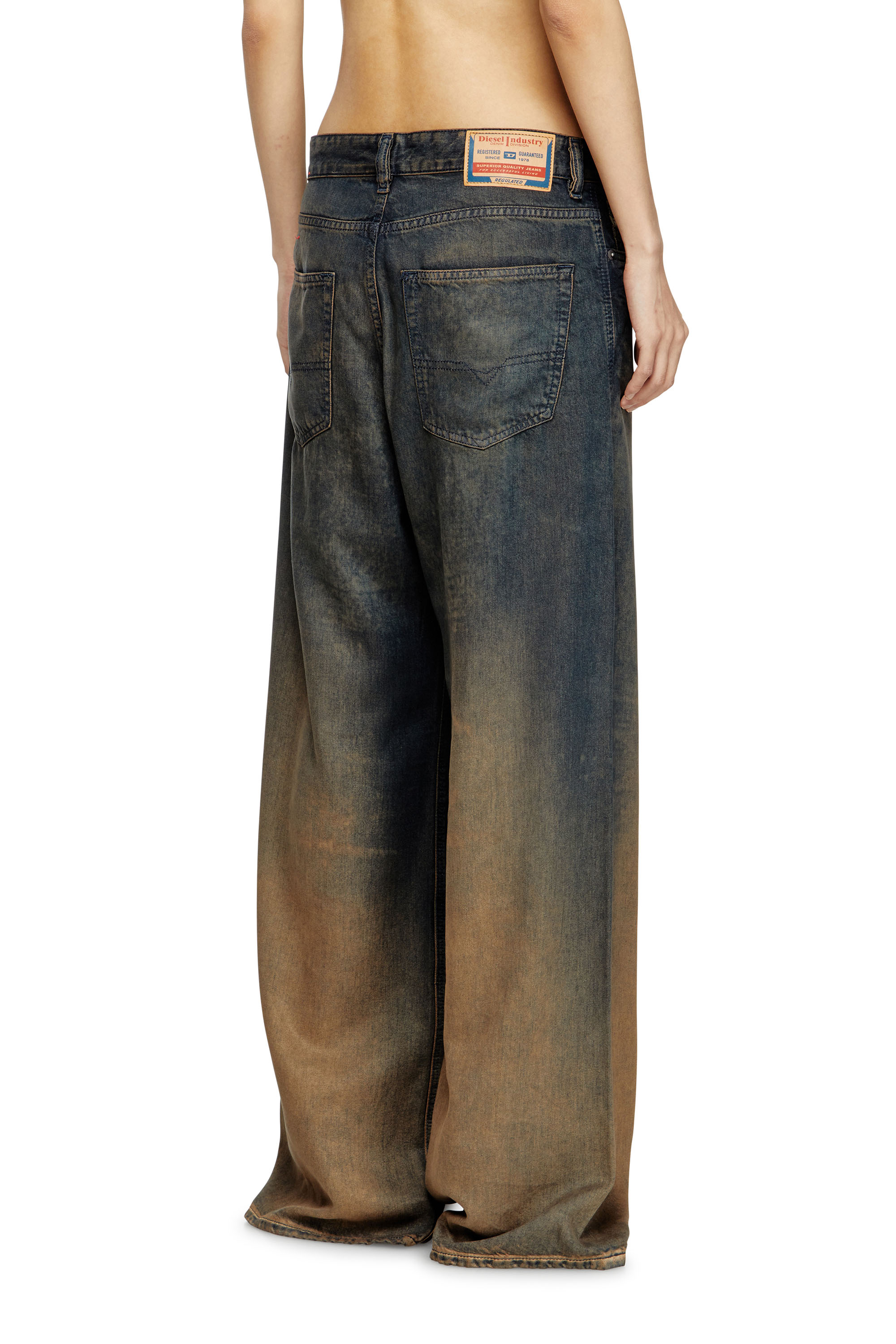 Relaxed Jeans 1996 D-Sire 068TF, Blue/Brown Diesel - Woman's Relaxed Jeans 1996 D-Sire 068TF, Blue/Brown - 4